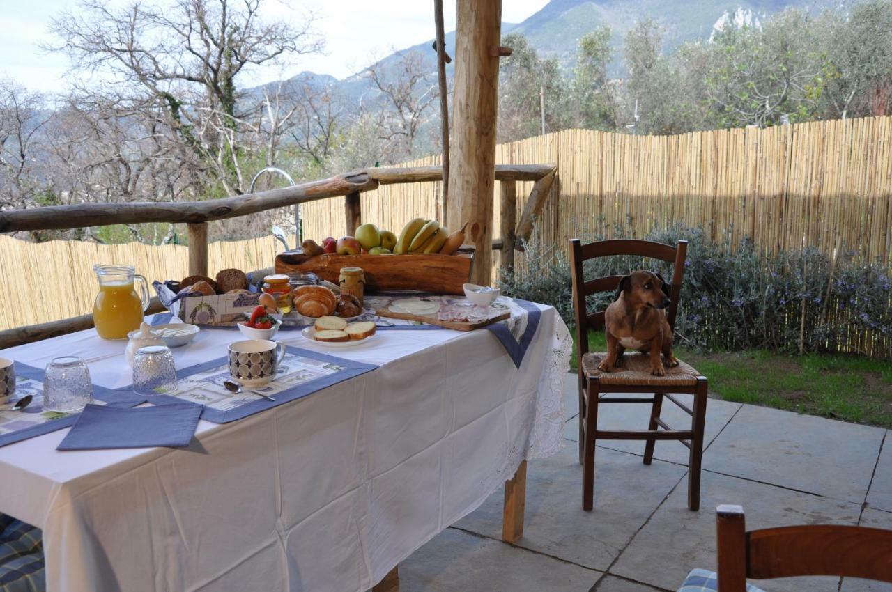 B&B Il Volo Камайоре Экстерьер фото