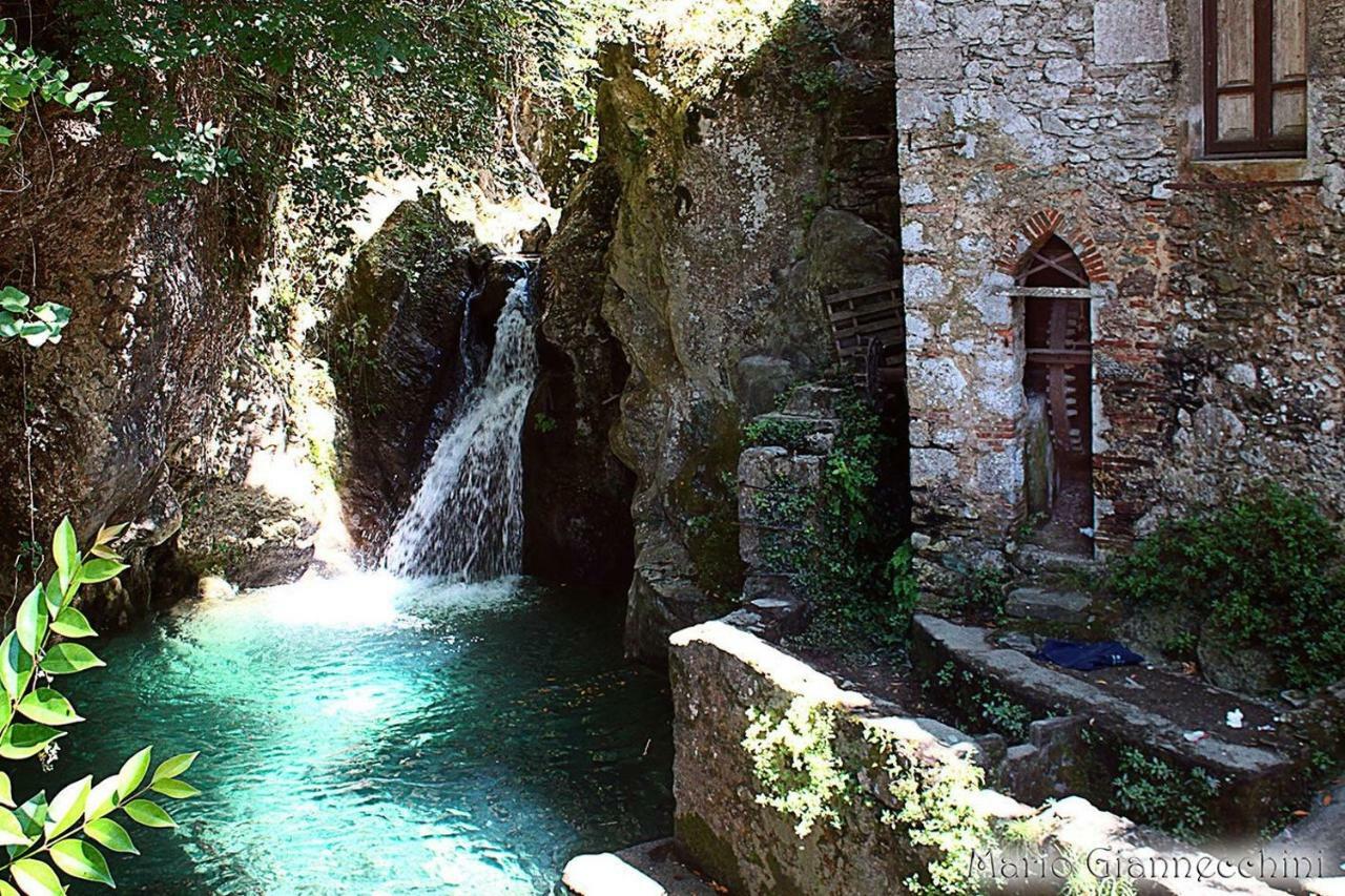 B&B Il Volo Камайоре Экстерьер фото