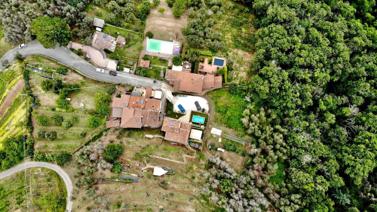 B&B Il Volo Камайоре Экстерьер фото